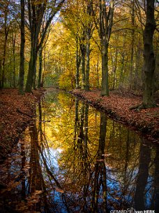 reflectie